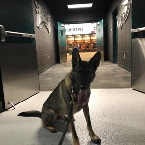 Meet your Posher, Anthony